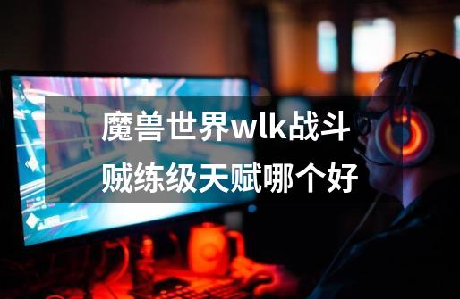 魔兽世界wlk战斗贼练级天赋哪个好-第1张-游戏资讯-智辉网络