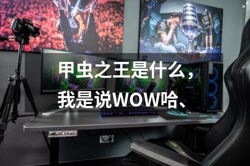 甲虫之王是什么，我是说WOW哈、-第1张-游戏资讯-智辉网络