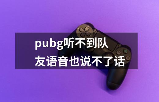 pubg听不到队友语音也说不了话-第1张-游戏资讯-智辉网络