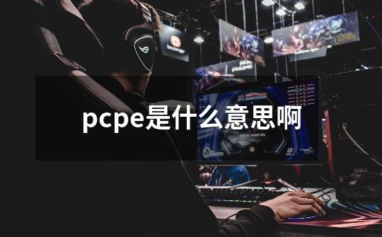 pcpe是什么意思啊-第1张-游戏资讯-智辉网络