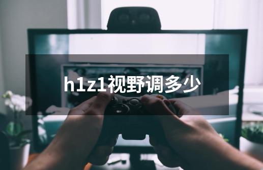 h1z1视野调多少-第1张-游戏资讯-智辉网络