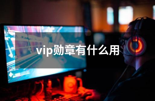 vip勋章有什么用-第1张-游戏资讯-智辉网络