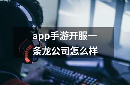 app手游开服一条龙公司怎么样-第1张-游戏资讯-智辉网络