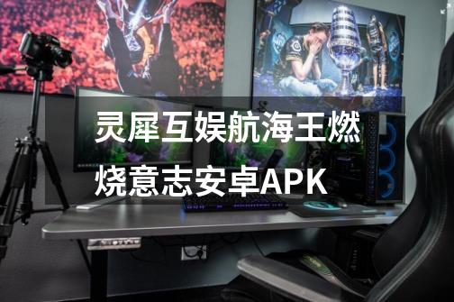 灵犀互娱航海王燃烧意志安卓APK-第1张-游戏资讯-智辉网络