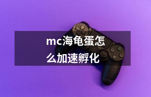 mc海龟蛋怎么加速孵化-第1张-游戏资讯-智辉网络