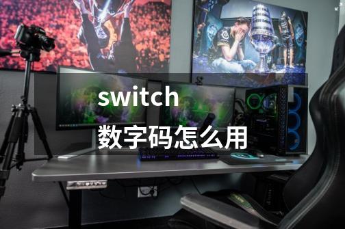 switch数字码怎么用-第1张-游戏资讯-智辉网络