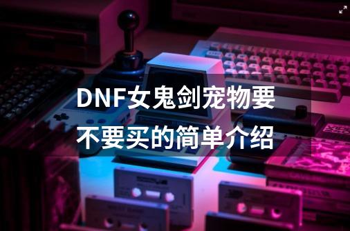 DNF女鬼剑宠物要不要买的简单介绍-第1张-游戏资讯-智辉网络