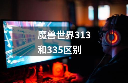 魔兽世界313和335区别-第1张-游戏资讯-智辉网络