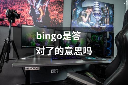 bingo是答对了的意思吗-第1张-游戏资讯-智辉网络