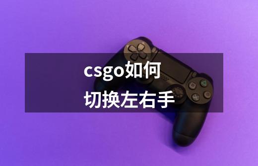 csgo如何切换左右手-第1张-游戏资讯-智辉网络