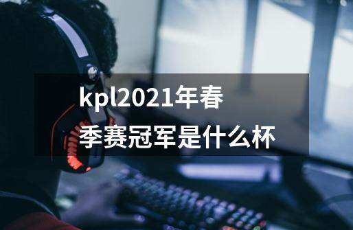 kpl2021年春季赛冠军是什么杯-第1张-游戏资讯-智辉网络