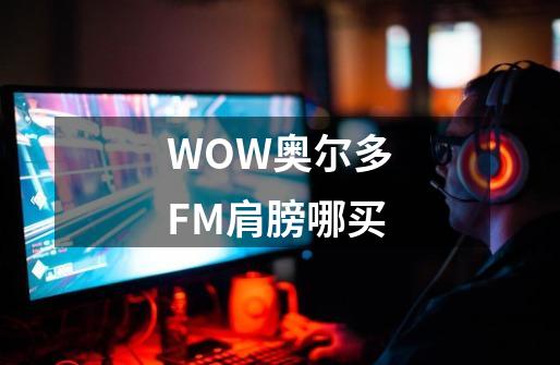 WOW奥尔多FM肩膀哪买-第1张-游戏资讯-智辉网络