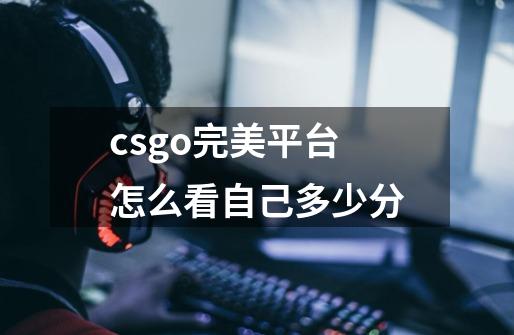 csgo完美平台怎么看自己多少分-第1张-游戏资讯-智辉网络