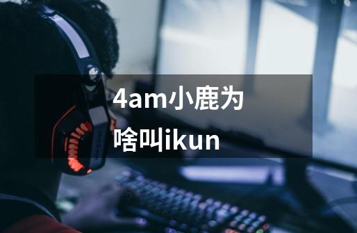 4am小鹿为啥叫ikun-第1张-游戏资讯-智辉网络