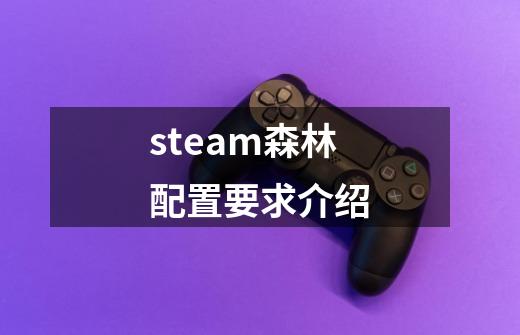 steam森林配置要求介绍-第1张-游戏资讯-智辉网络