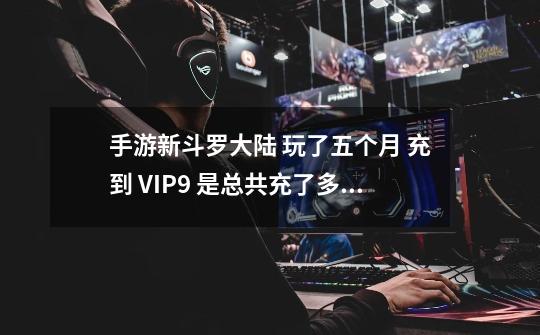 手游新斗罗大陆 玩了五个月 充到 VIP9 是总共充了多少钱-第1张-游戏资讯-智辉网络