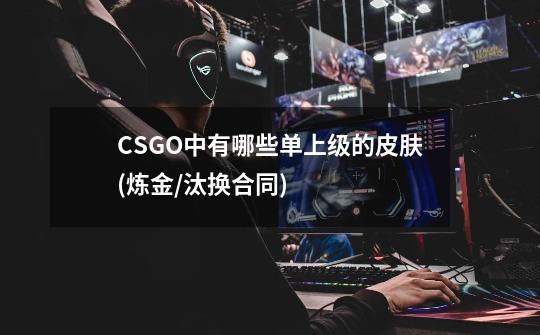 CSGO中有哪些单上级的皮肤(炼金/汰换合同)-第1张-游戏资讯-智辉网络