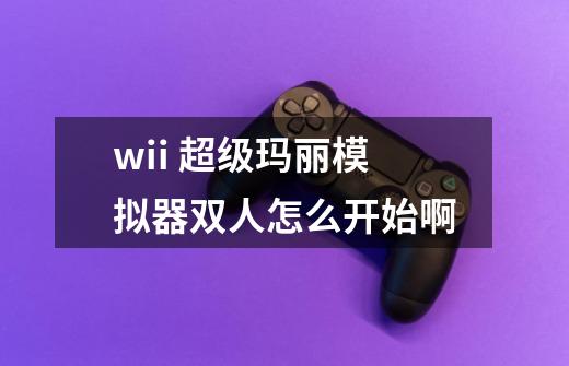 wii 超级玛丽模拟器双人怎么开始啊-第1张-游戏资讯-智辉网络