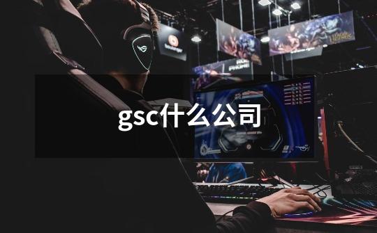 gsc什么公司-第1张-游戏资讯-智辉网络