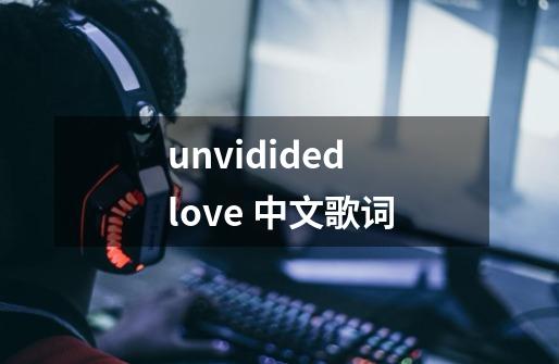 unvidided love 中文歌词-第1张-游戏资讯-智辉网络