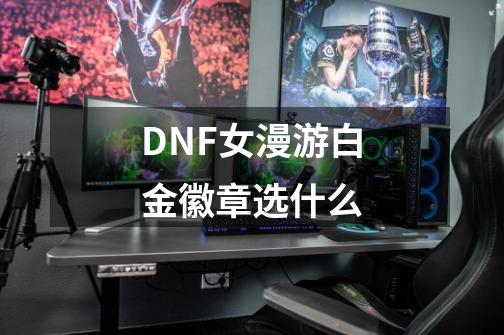 DNF女漫游白金徽章选什么-第1张-游戏资讯-智辉网络