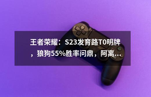 王者荣耀：S23发育路T0明牌，狼狗55%胜率问鼎，阿离T1强度回归-第1张-游戏资讯-智辉网络