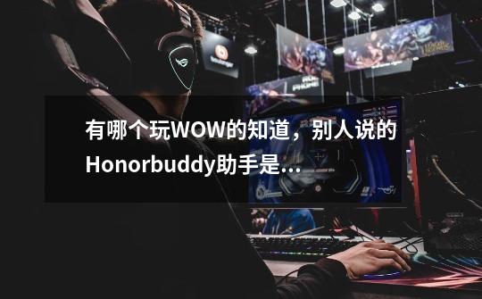 有哪个玩WOW的知道，别人说的Honorbuddy助手是什么吗-第1张-游戏资讯-智辉网络