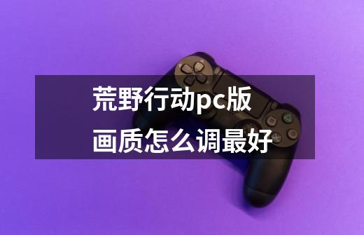 荒野行动pc版画质怎么调最好-第1张-游戏资讯-智辉网络