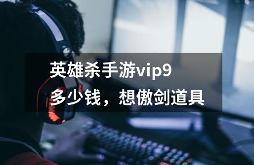 英雄杀手游vip9多少钱，想傲剑道具-第1张-游戏资讯-智辉网络