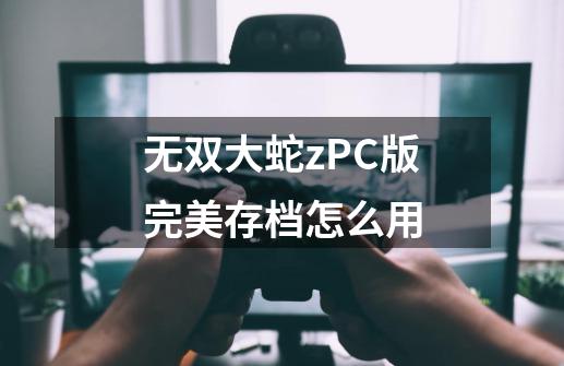 无双大蛇zPC版完美存档怎么用-第1张-游戏资讯-智辉网络