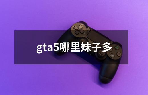 gta5哪里妹子多-第1张-游戏资讯-智辉网络