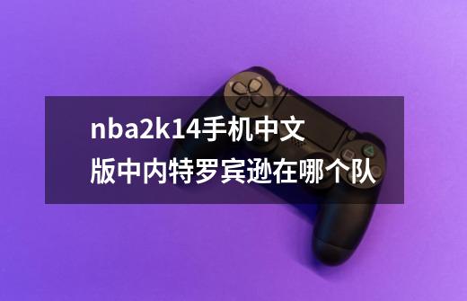 nba2k14手机中文版中内特罗宾逊在哪个队-第1张-游戏资讯-智辉网络