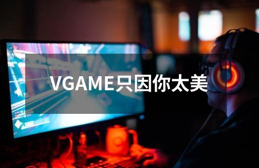 VGAME只因你太美-第1张-游戏资讯-智辉网络