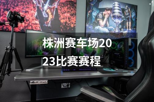 株洲赛车场2023比赛赛程-第1张-游戏资讯-智辉网络