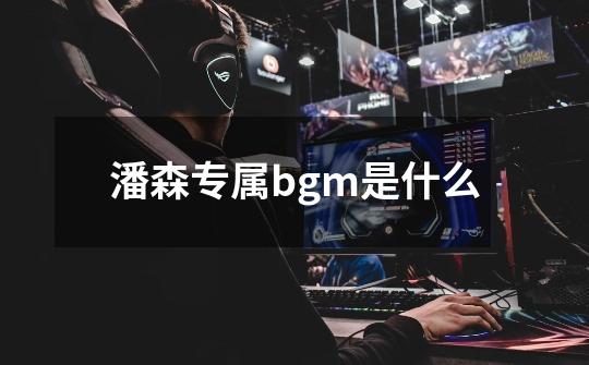 潘森专属bgm是什么-第1张-游戏资讯-智辉网络