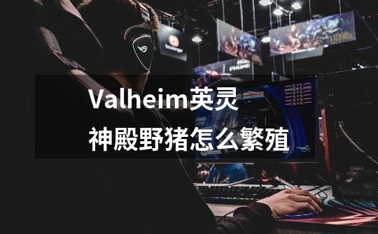 Valheim英灵神殿野猪怎么繁殖-第1张-游戏资讯-智辉网络