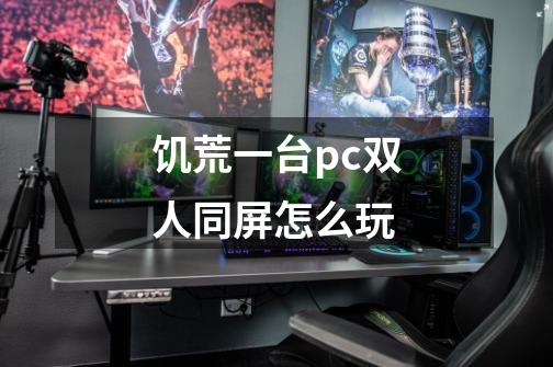 饥荒一台pc双人同屏怎么玩-第1张-游戏资讯-智辉网络