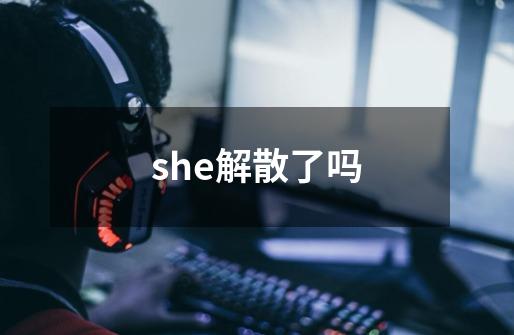 she解散了吗-第1张-游戏资讯-智辉网络