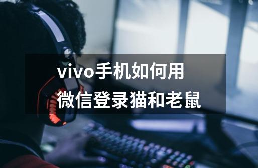 vivo手机如何用微信登录猫和老鼠-第1张-游戏资讯-智辉网络