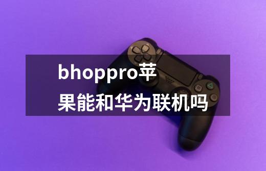 bhoppro苹果能和华为联机吗-第1张-游戏资讯-智辉网络