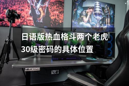 日语版热血格斗两个老虎30级密码的具体位置-第1张-游戏资讯-智辉网络