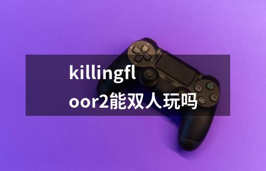 killingfloor2能双人玩吗-第1张-游戏资讯-智辉网络