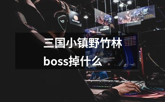 三国小镇野竹林boss掉什么-第1张-游戏资讯-智辉网络