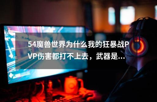 5.4魔兽世界为什么我的狂暴战PVP伤害都打不上去，武器是498两把，装等492-第1张-游戏资讯-智辉网络