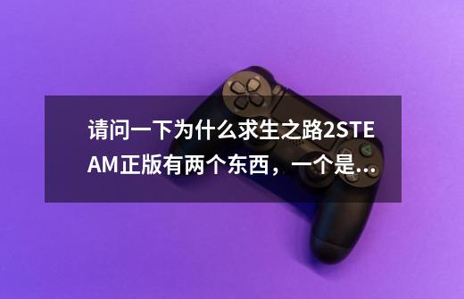 请问一下为什么求生之路2STEAM正版有两个东西，一个是left 4dead 2我知道这是原版，怎,求生之路2steam现在多少钱-第1张-游戏资讯-智辉网络