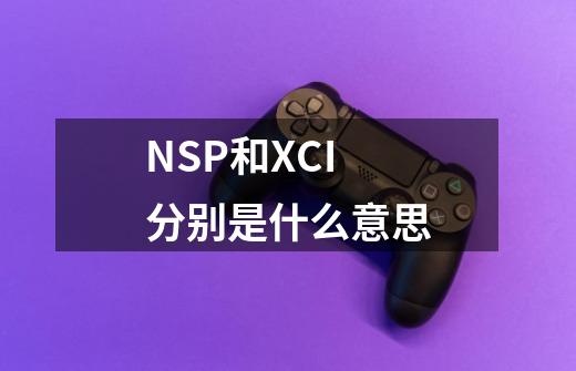 NSP和XCI分别是什么意思-第1张-游戏资讯-智辉网络