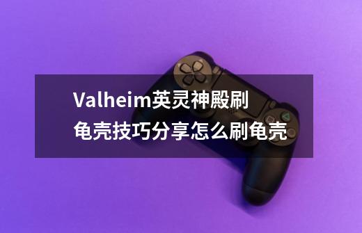 Valheim英灵神殿刷龟壳技巧分享怎么刷龟壳-第1张-游戏资讯-智辉网络