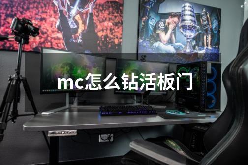 mc怎么钻活板门-第1张-游戏资讯-智辉网络