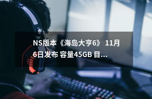 NS版本《海岛大亨6》 11月6日发布 容量4.5GB 目前没有中文-第1张-游戏资讯-智辉网络