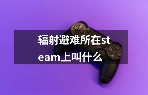 辐射避难所在steam上叫什么-第1张-游戏资讯-智辉网络